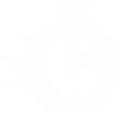 professional content writing services USA